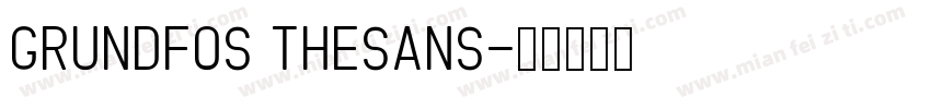 Grundfos TheSans字体转换